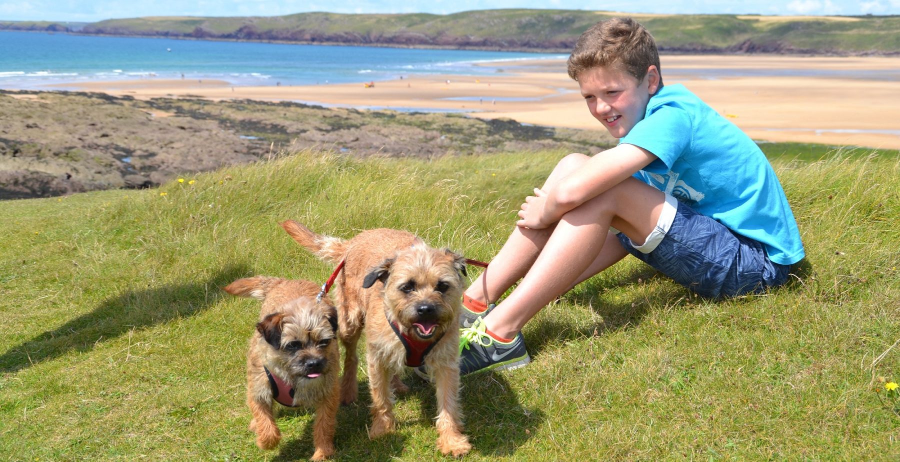 Dog friendly beaches in Pembrokeshire, Wales Visit
